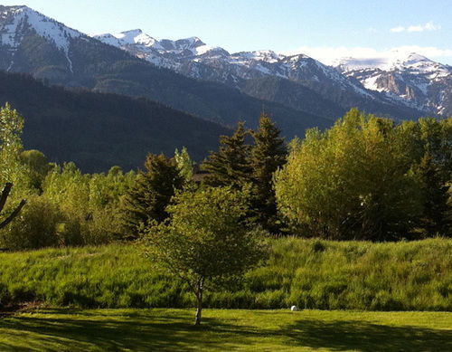 Teton View Bed And Breakfast Wilson Exterior foto