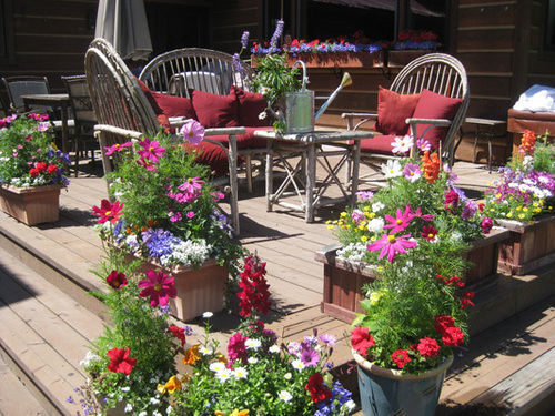 Teton View Bed And Breakfast Wilson Exterior foto